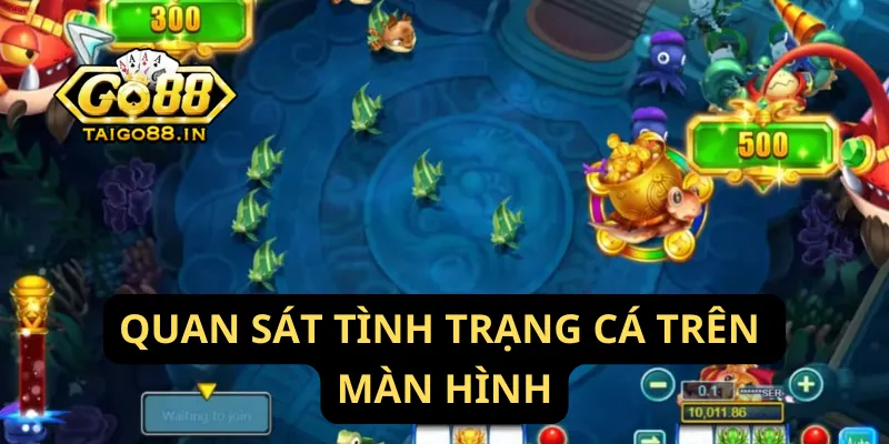 Quan sát tình trạng cá trên màn hình